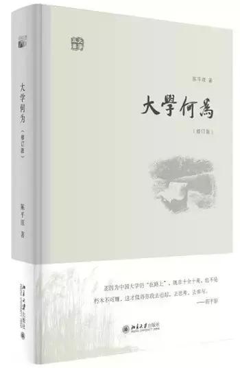 陈平原：不要整天追问中国大学为什么还不“世界一流”