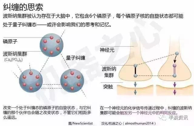 清华大学副校长：人从哪而来？追溯到35亿年前或能找到答案