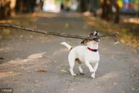 故事很短，但感悟很深！送给每位朋友