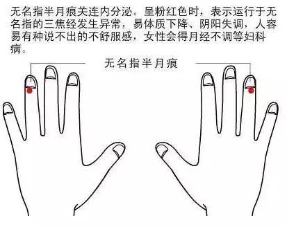 谁偷走了我们的气血？指出现代人的通病~