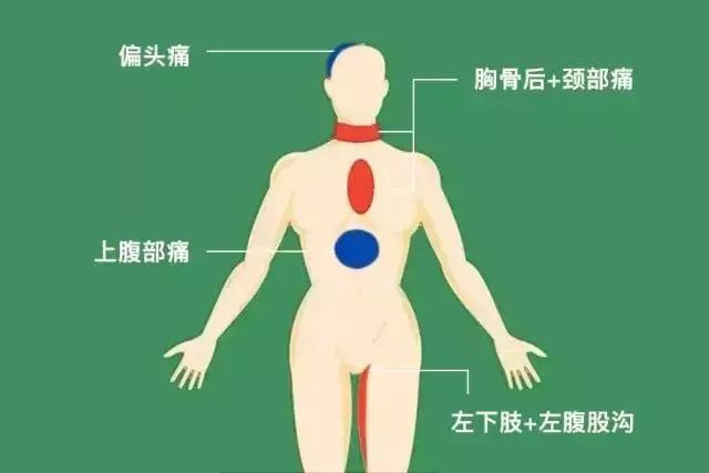 这9处疼痛可能吞噬生命！“急救4步”能救命！10招助力保护心脏！