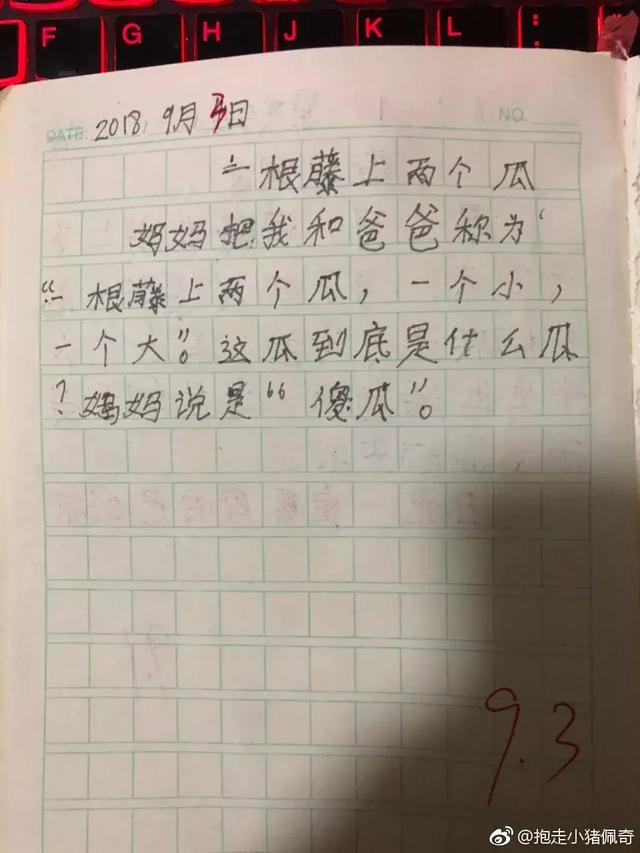 看完这些小学生的作文，我只想说：是在下输了！