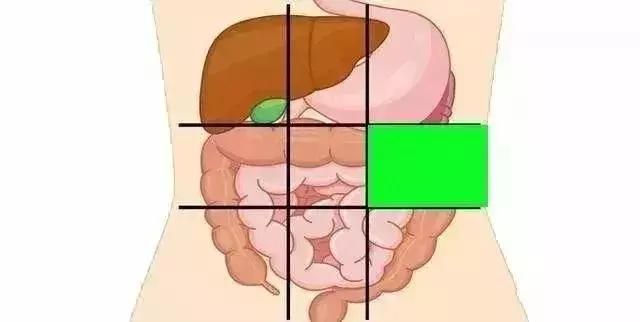 一张腹部地图，让你终身受益！