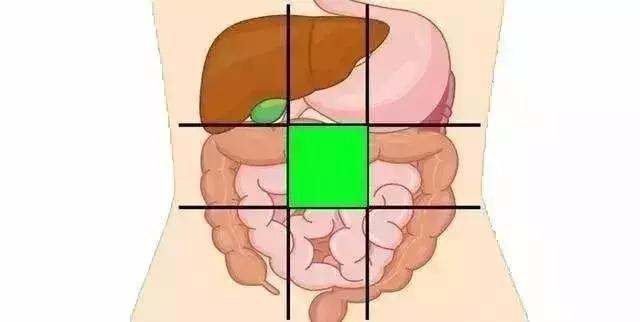 一张腹部地图，让你终身受益！