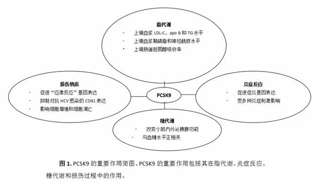 施一公：世界如此未知，人类如此愚昧，还有什么物事难以释怀？