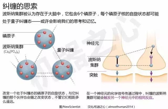 施一公：世界如此未知，人类如此愚昧，还有什么物事难以释怀？