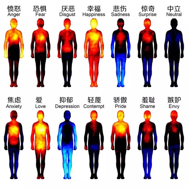 健康真相：每一种情绪都会产生相应的激素，从而影响你的身体
