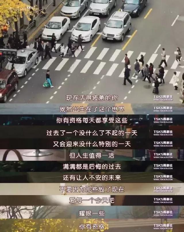 看完这40张图，我决定好好生活