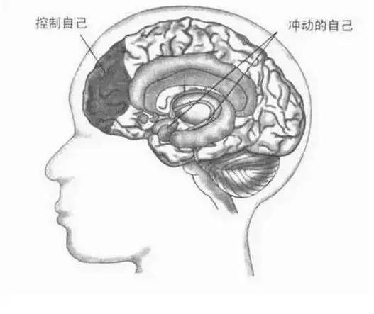 这11个终身学习方法，拉开了人与人之间的差距