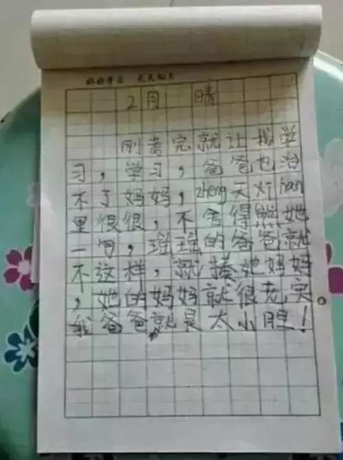 一篇小学生作文《爸爸也治不了妈妈》笑晕了