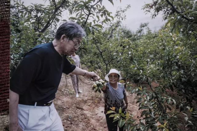 兄妹成夫妻，相爱80年：亲爱的，亲亲我......（泪奔的爱情）