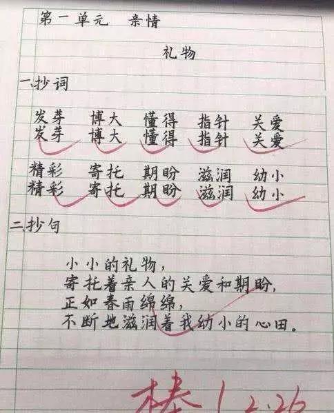 中小学生试卷因书法加分，老师晒出照片，网友：不服不行