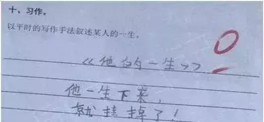 小学生0分作文火了，老师气的摔钢笔，家长看后默默捂脸