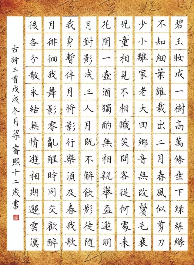 12岁孩子的钢笔字作文，字迹俊美，令人惊叹