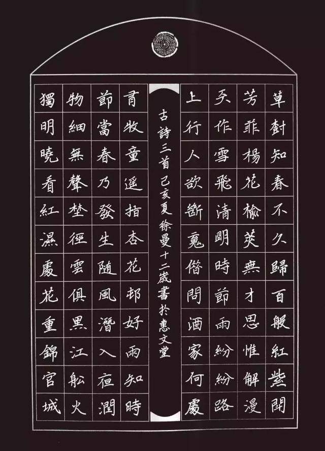 12岁孩子的钢笔字作文，字迹俊美，令人惊叹