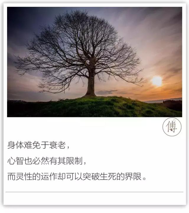 傅佩荣：15个再简单不过的道理，就是哲学与人生要告诉你的全部