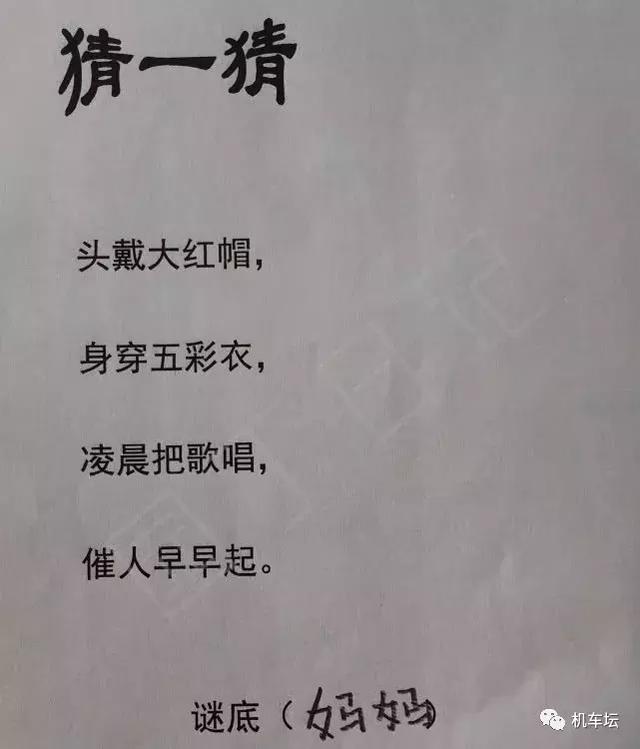 小学生作文《我想对语文老师说》走红，爸爸很无奈，老师：有道理