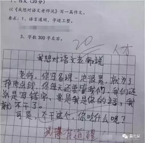 小学生作文《我想对语文老师说》，老师批语：非常有道理，人才