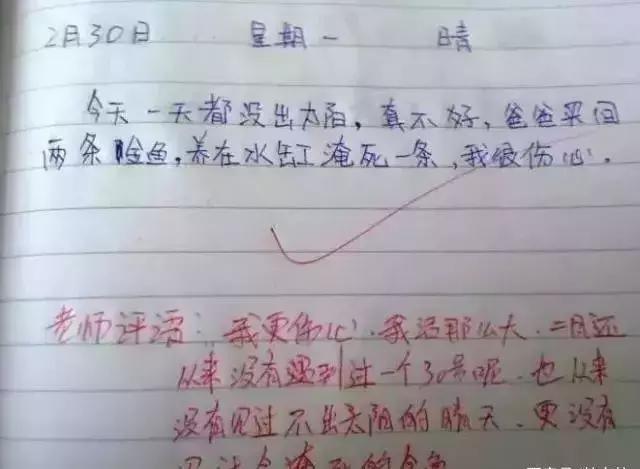 某小学生作文《安慰》，老师直接给了满分