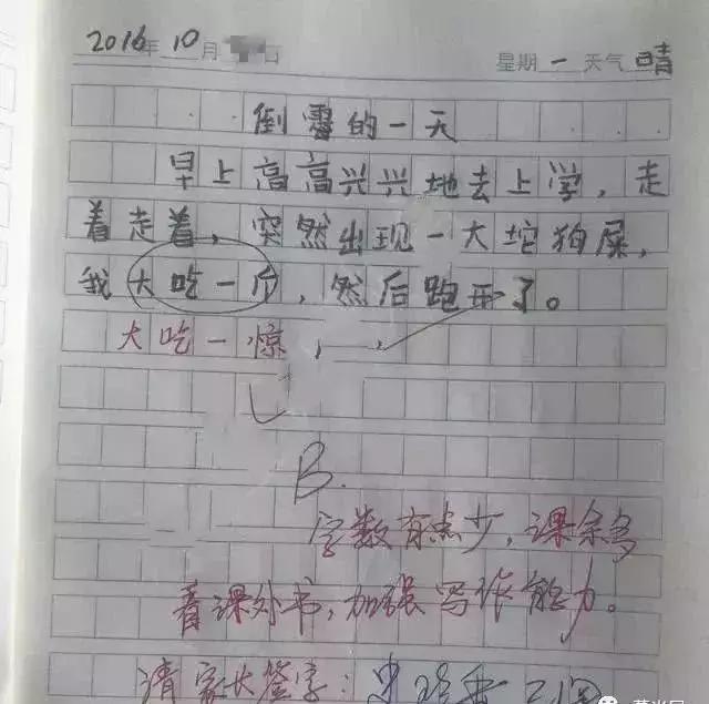 小学生作文《做一头猪》，老师看后笑喷，爸妈气得追着打了3条街