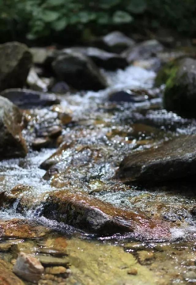 23岁踏入终南山，一处小院，一袭布衣，她的日子比小龙女还逍遥