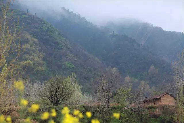 23岁踏入终南山，一处小院，一袭布衣，她的日子比小龙女还逍遥