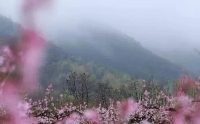 23岁踏入终南山，一处小院，一袭布衣，她的日子比小龙女还逍遥