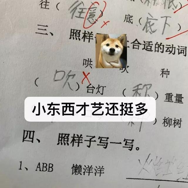 幽默：批作业是小学老师的一大乐趣