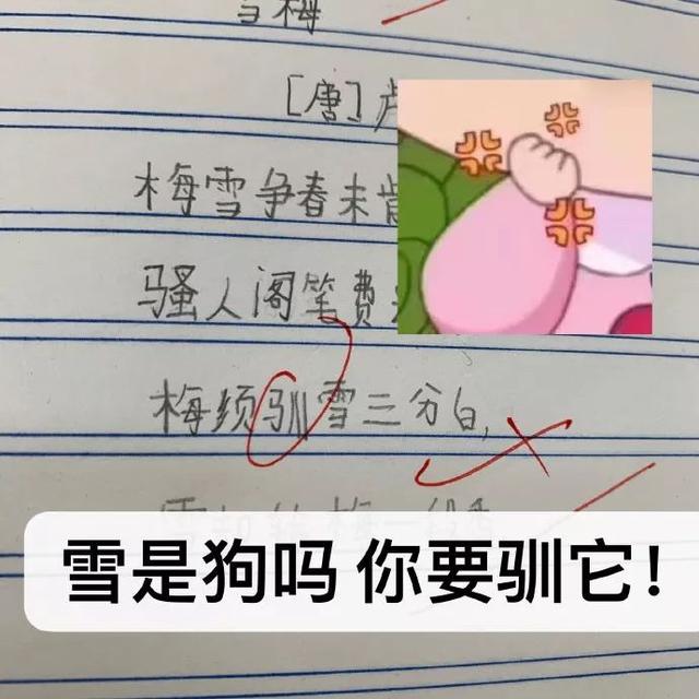 幽默：批作业是小学老师的一大乐趣