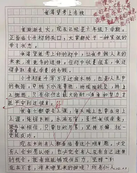 小学生作文《考上名校》走红，看到作文结尾，家长泪目了