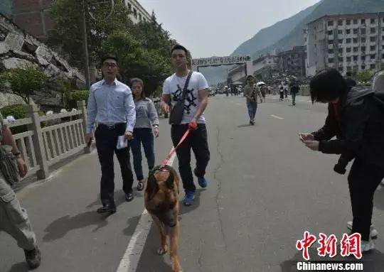 汶川地震救下15条人命的狗狗去世！网友写下3800条评论，超感人