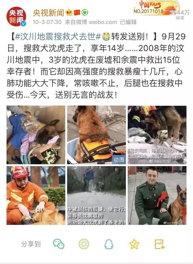 汶川地震救下15条人命的狗狗去世！网友写下3800条评论，超感人