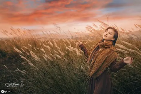 30篇精辟的哲理性散文，赶快充实你的智慧素材