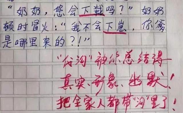 小学生作文《代沟》把全家人都带沟里了，老师：太有才了