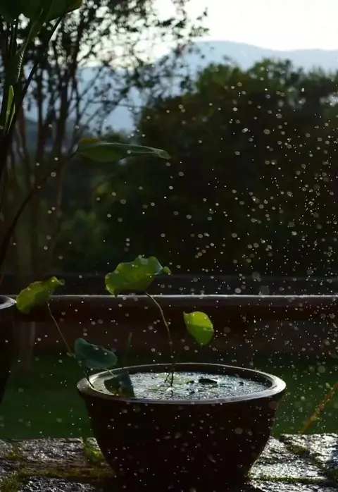 风骨，是男人的灵魂