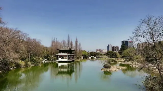 让开心成为一种习惯（妙文）