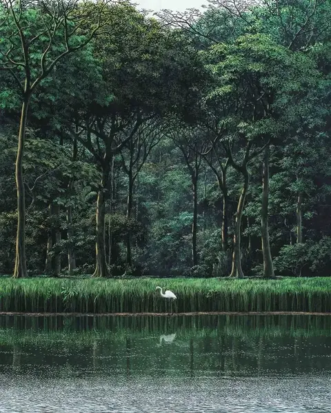 换个角度看，天地自然宽