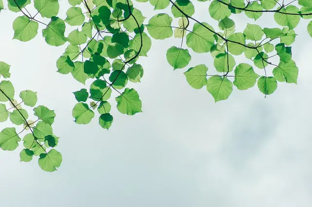 什么样的人最幸福？一项有趣的调查，答案让人意外