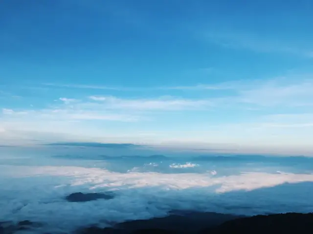 什么样的人最幸福？一项有趣的调查，答案让人意外