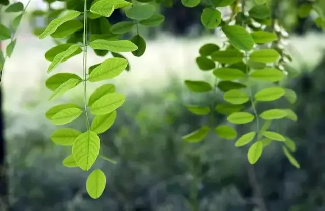 人过六十有六怕，一定要防范！