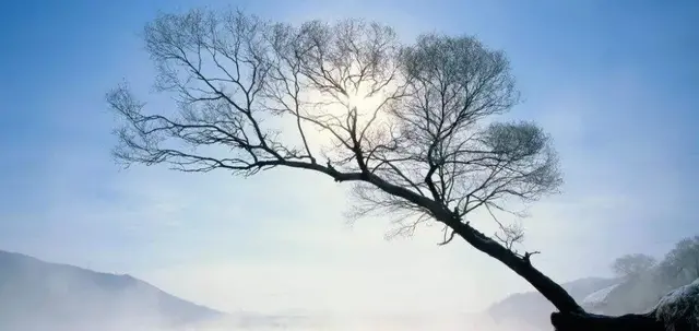 成长，不是等待痛苦过去，而是学着自我疗愈