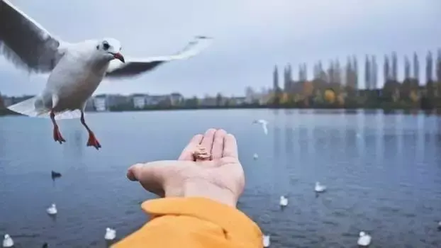 让内心充满能量的十个自问