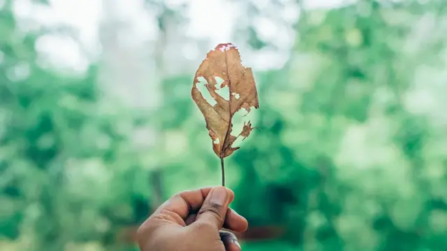 命不好，怎么破解？命运是可以通过修行而彻底改变的