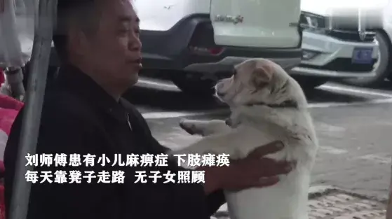 狗狗帮主人照顾菜摊，看家、看车，一人一犬相依为命