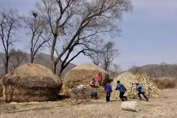 小时候农村收麦子的场景(多少人的回忆)