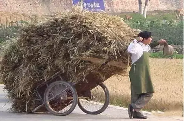 小时候农村收麦子的场景(多少人的回忆)