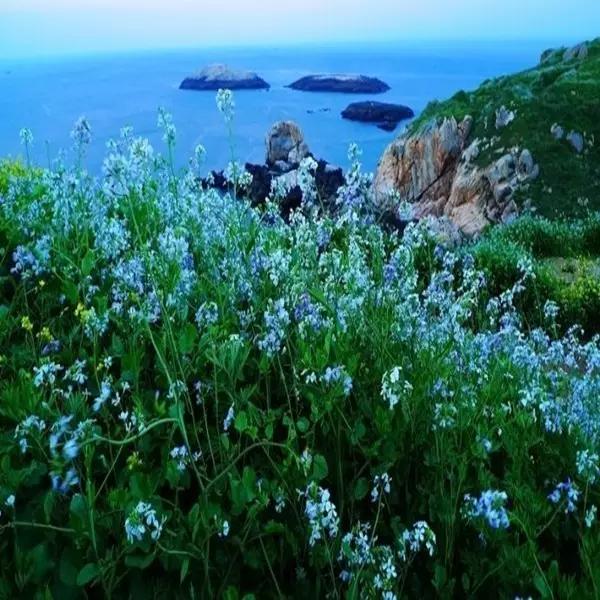 曾国藩诗10首：倚天照海花无数，流水高山心自知