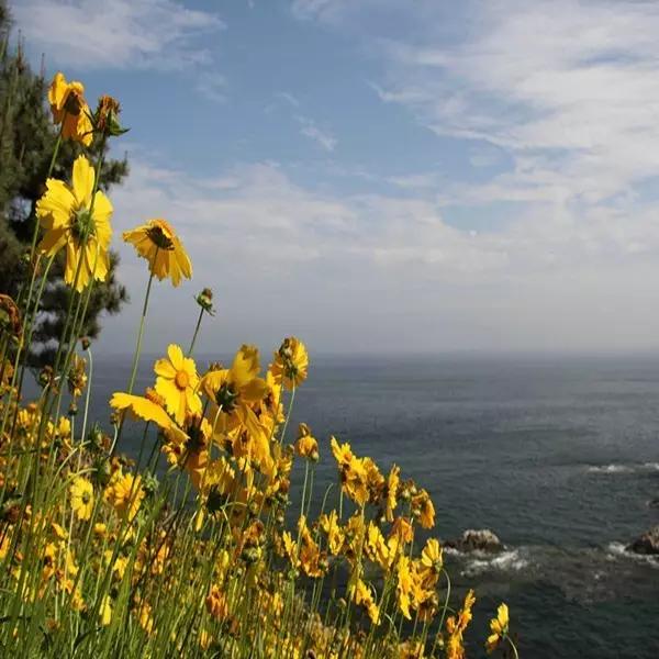 曾国藩诗10首：倚天照海花无数，流水高山心自知