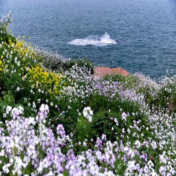 曾国藩诗10首：倚天照海花无数，流水高山心自知