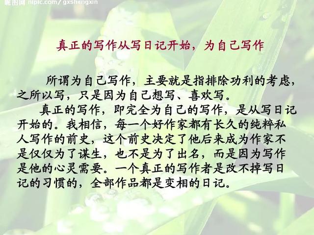 周国平：好的文字风格来自日常一丝不苟的积累